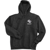 Curry College Ultimate Cotton - Pullover Hooded Sweatshirt