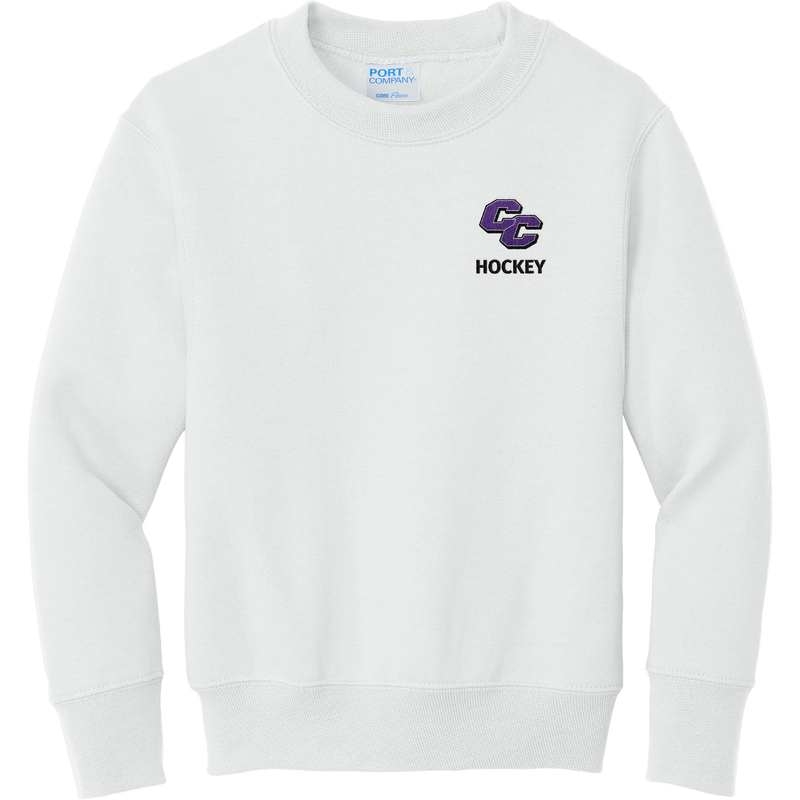 Curry College Youth Core Fleece Crewneck Sweatshirt